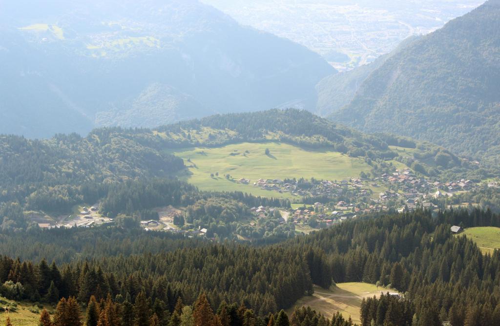 Le Chalet D'Ulysse Araches-la-Frasse Стая снимка