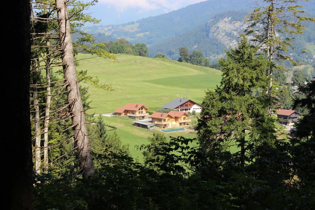 Le Chalet D'Ulysse Araches-la-Frasse Екстериор снимка